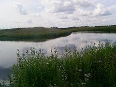грибники 037